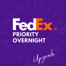 FedEx Priority Overnight Upgrade