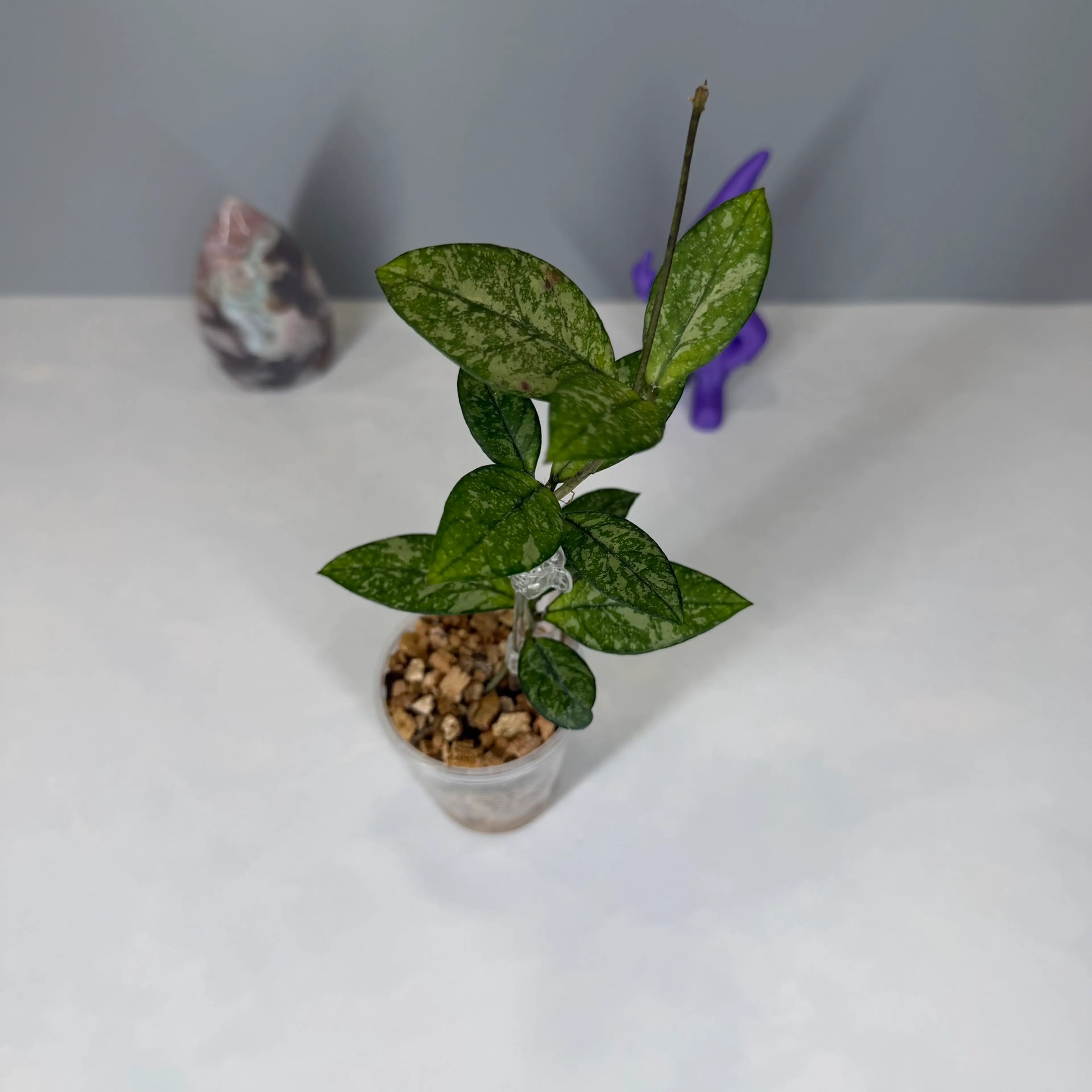 Image 2 of 3