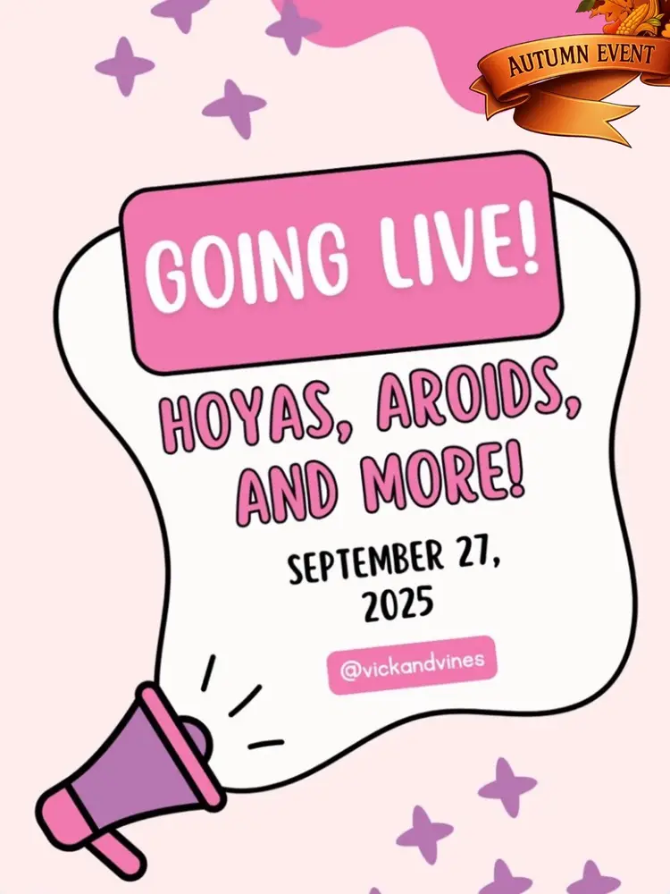 Can I Get An O-V-O?? O V O!!!! 