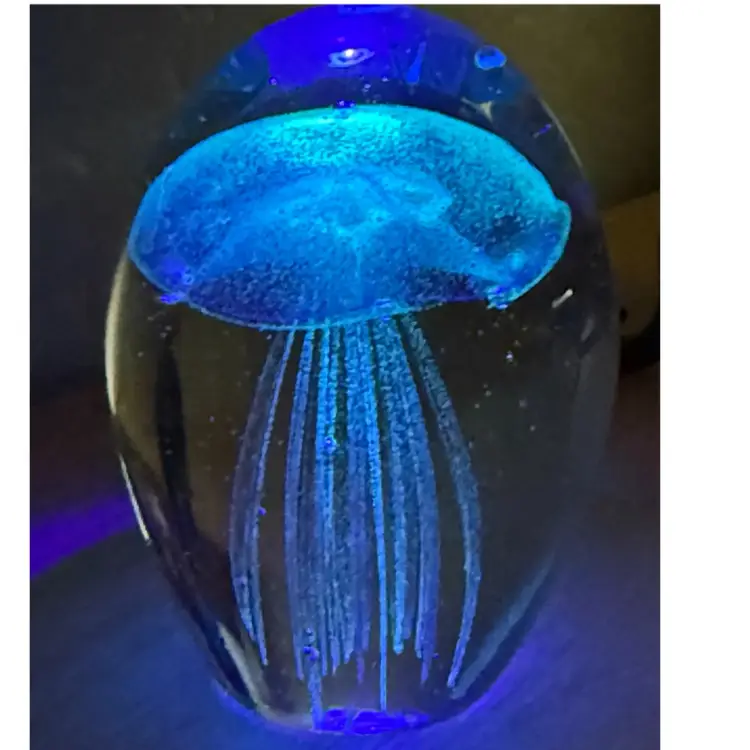 Paperweight W/Jelly Fish GLOWS Dynasty Gallery Art Glass Hand Crafted Pink Blue