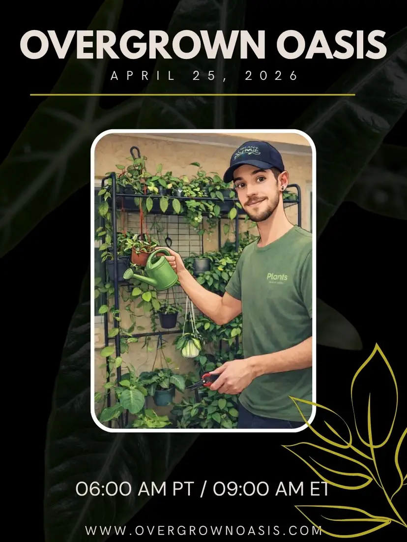 Livestream thumbnail