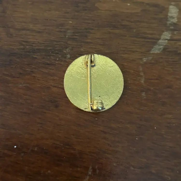 Teen-Age Hospital Volunteer - American Hospital Association - Vintage Lapel Pin