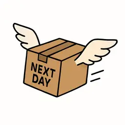 Upgrade to UPS Next Day (Noon Arrival)