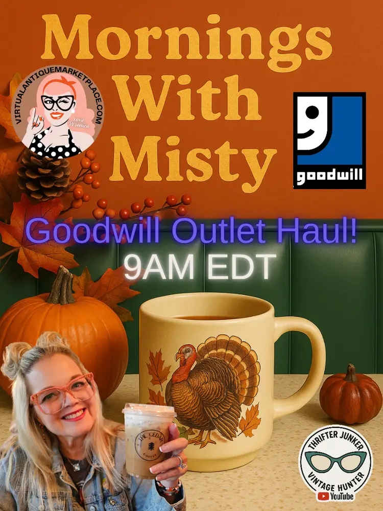 Mornings With Misty: Goodwill Outlet Haul & Chat