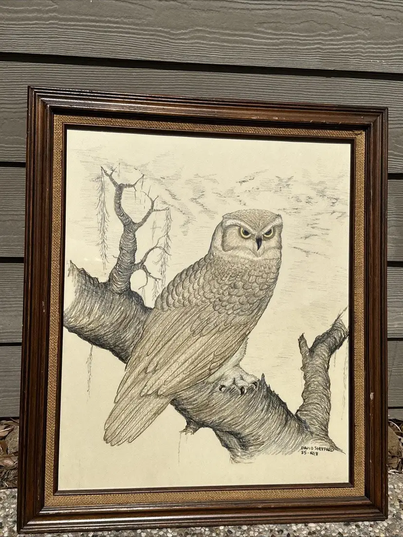 Vintage Barn Owl Signed Print: Framed Wildlife Sketch, Rustic Cabin Art (29x25 Inches, David Sheppar