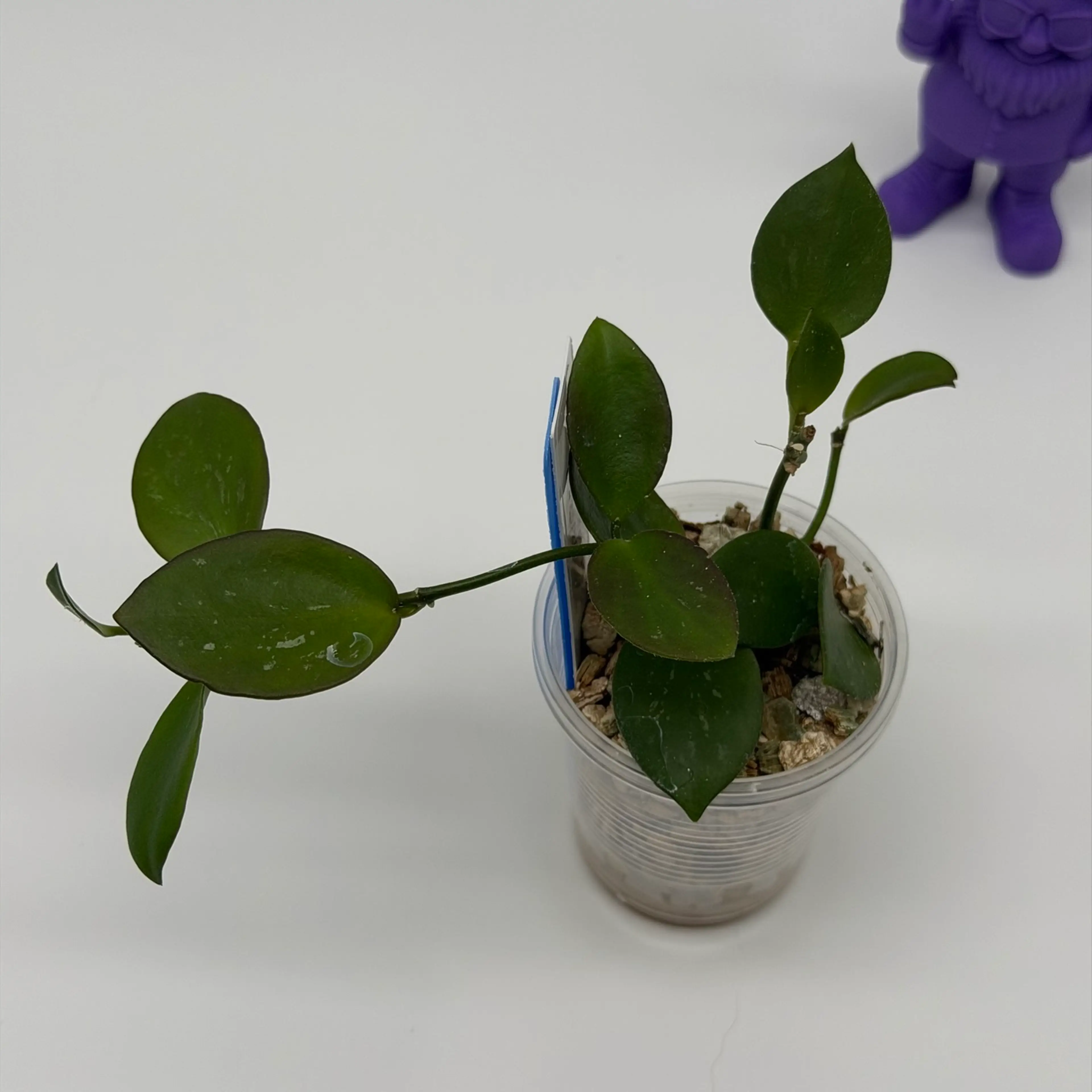 Image 2 of 2