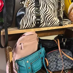 #37 - Random Purse Pull