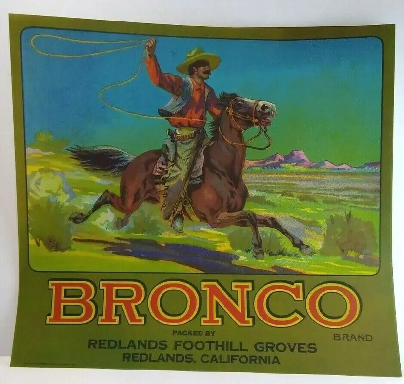 Bronco Western Cowboy Horse Lasso Fruit Crate Label Vintage Original 1930's