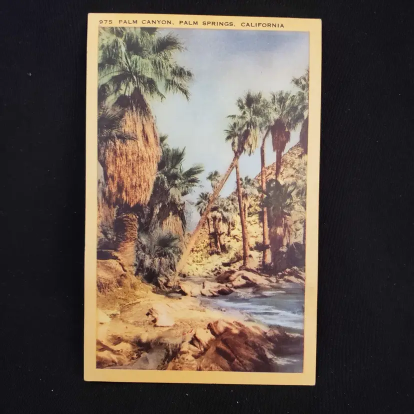 Postcard Palm Canyon Palm Springs California unused Vintage