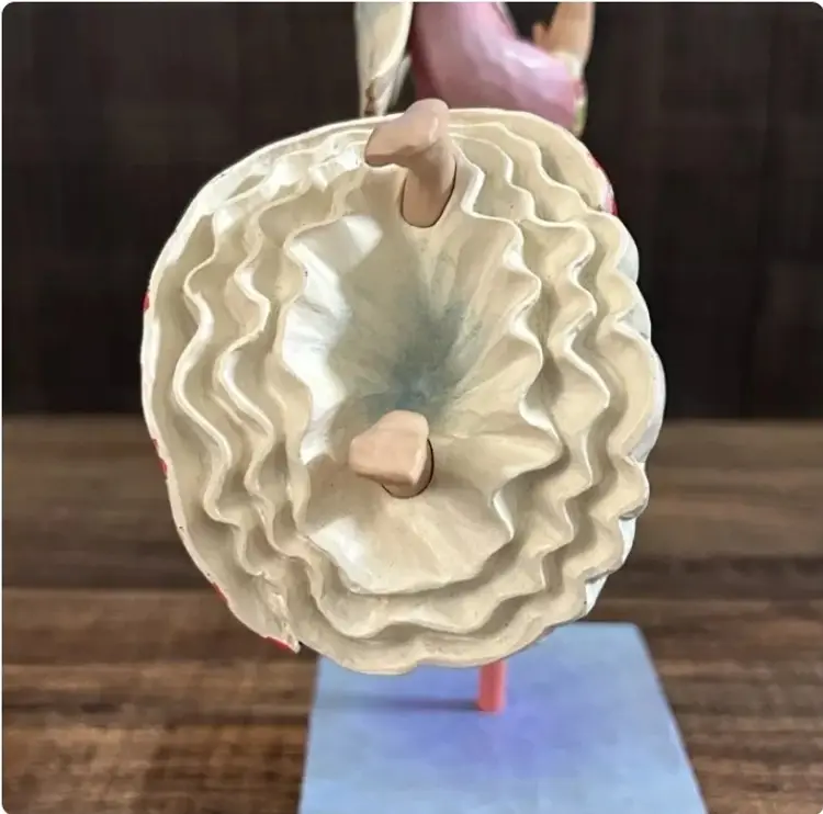 2006 Jim Shore Heartwood Creek Have Faith Angel