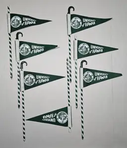 Lot of 7 Vintage University of Hawaii Pennant Pencils Rainbow Warriors Souvenir Collectibles