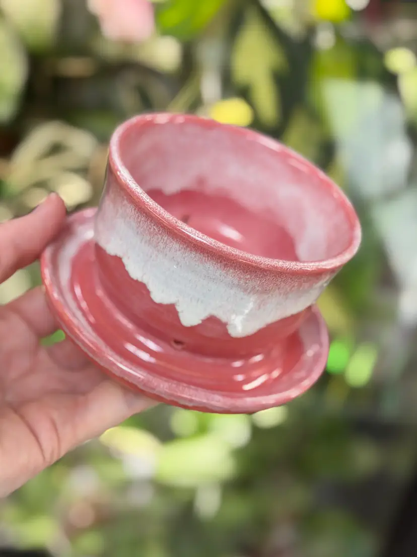 #25 Handmade pot, with drainage tray 3.5 x 2.5