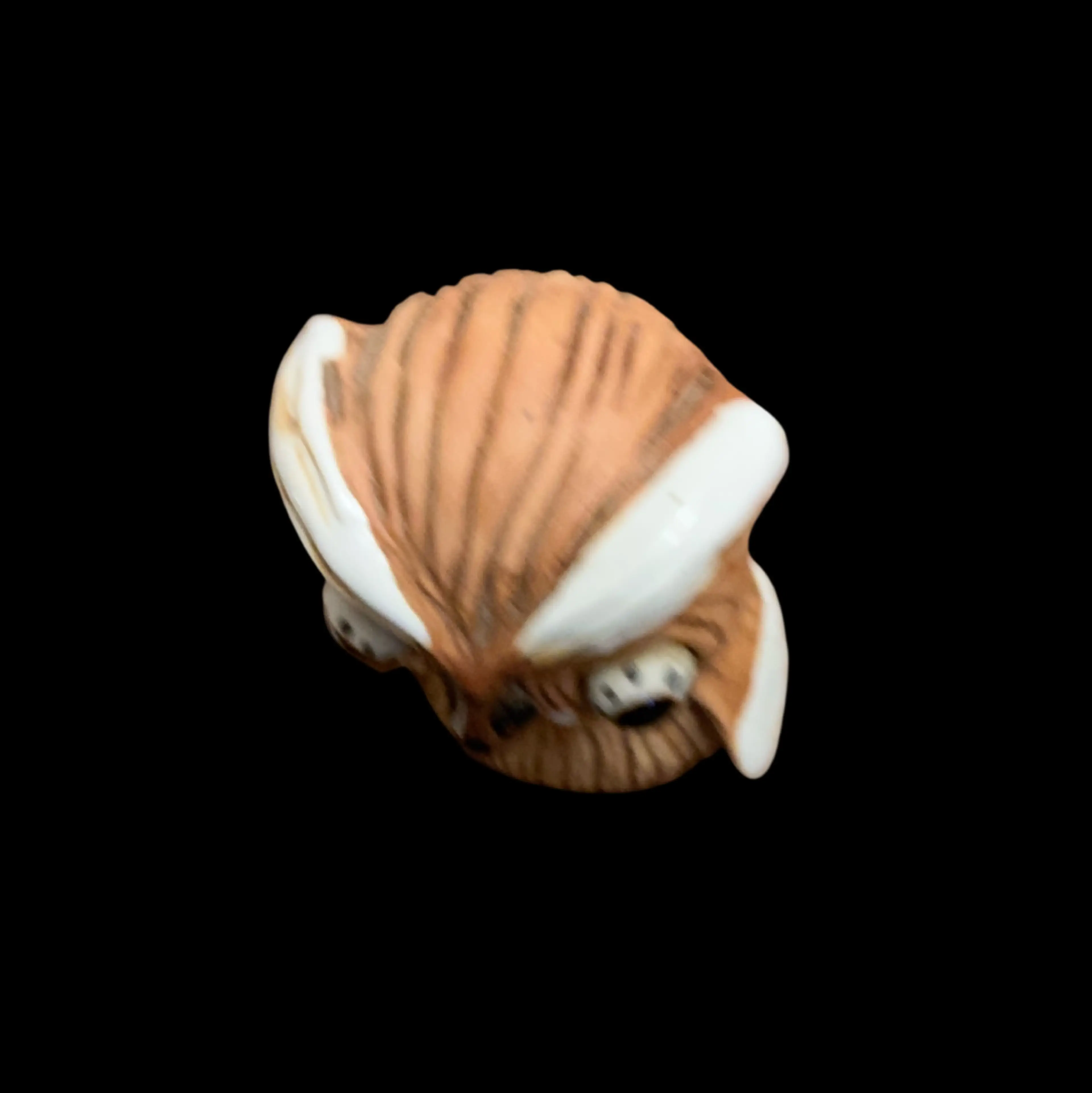 Image 5 of 6