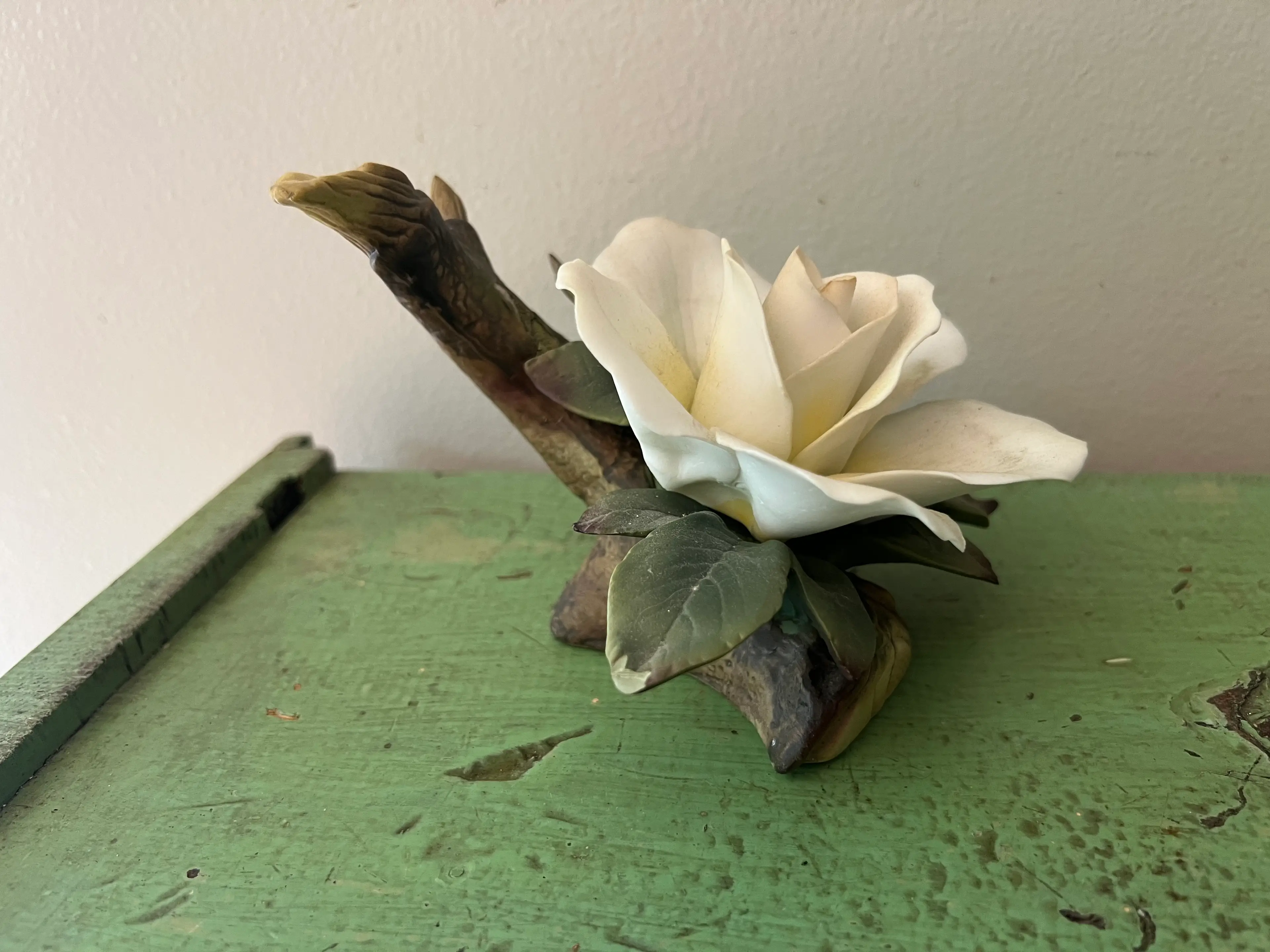 Image 5 of 15