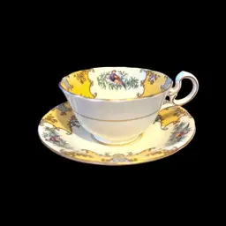 Aynsley Bird Tea Cup and Saucer Bone China Set England Yellow and White Vintage English Floral Tea Party
