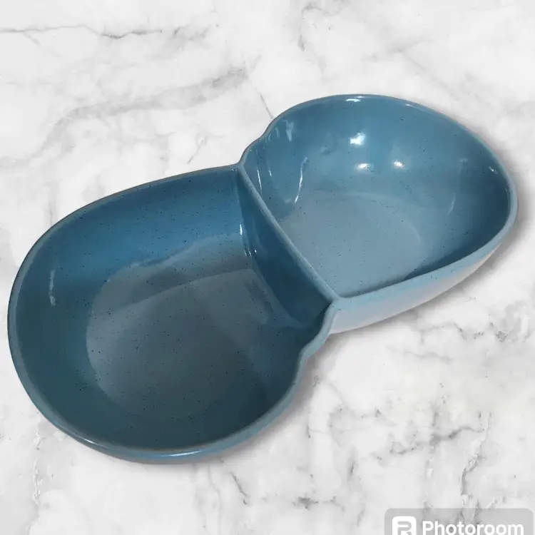 Vtg Frankoma Lazy Bones Blue Divided Serving Dish MCM