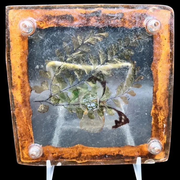 #251B Vintage Lucite Trivet with Butterfly and Leaves Encased inside