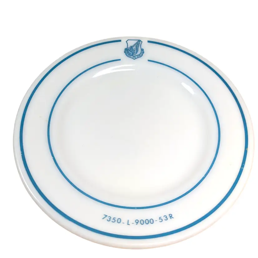 Pyrex Pacific Air Force Logo Vintage