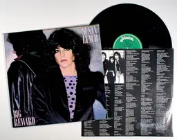 Susan Lynch - Big Reward (1982) Vinyl LP • Dishrags, New Wave