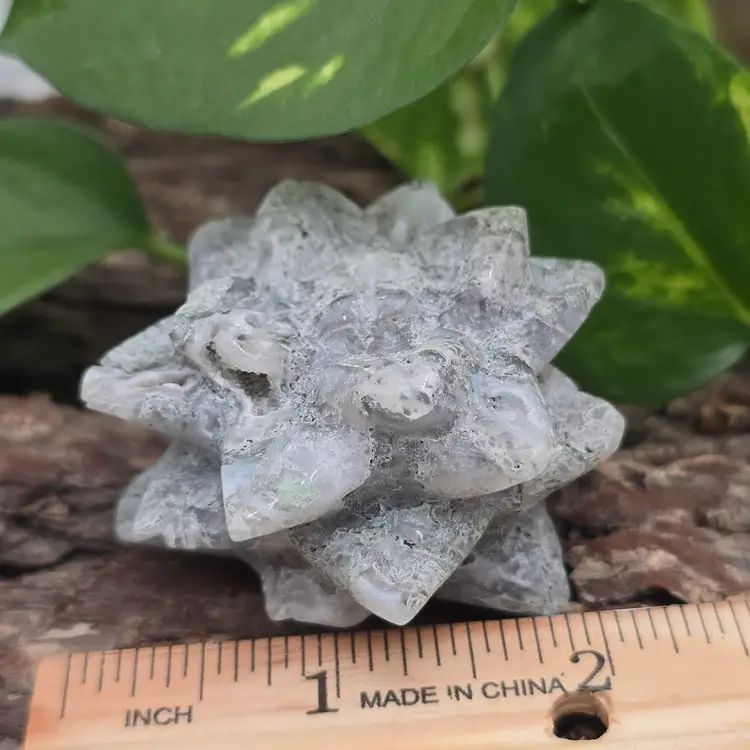 Moss Agate Succulent from India ~ Polished Crystal Plants