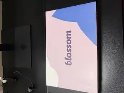 Novelkeys Cherry Blossom