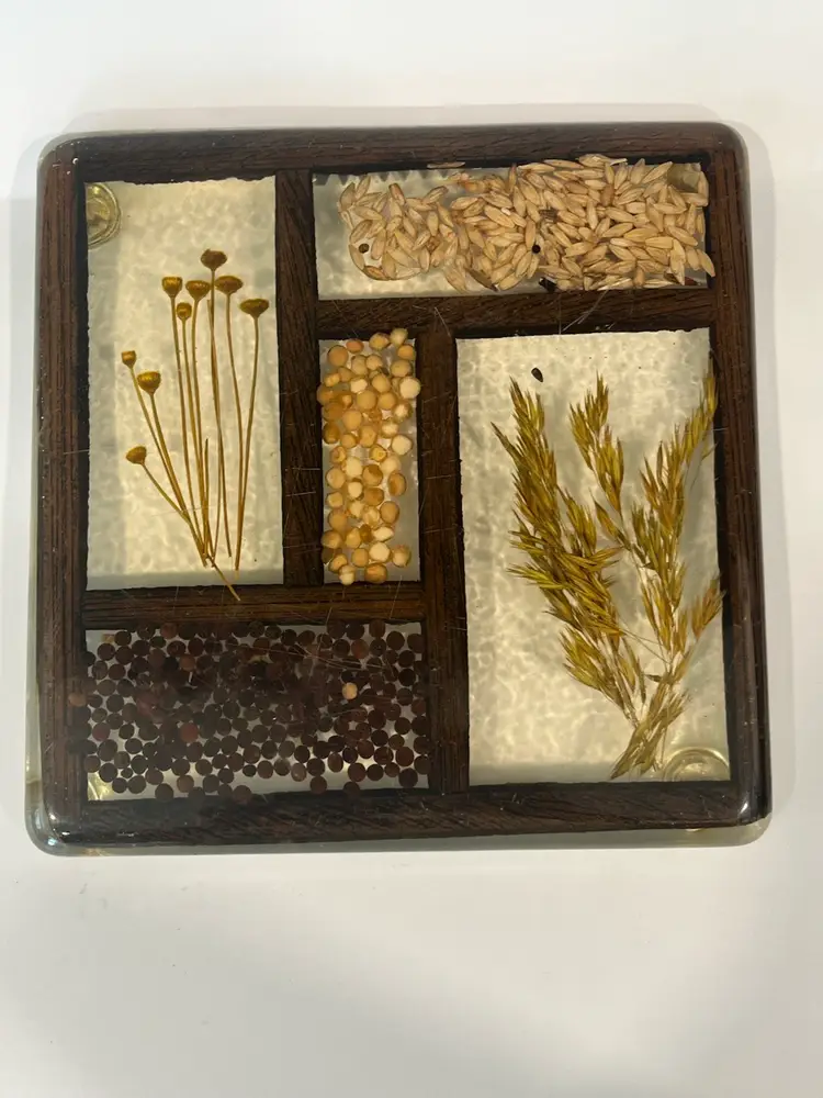 Colorflo - Acrylic Trivet-  Ready to Hang Wall Art- Pressed Flowers, Seeds and Wheat. 8.75” Square- Original Sticker