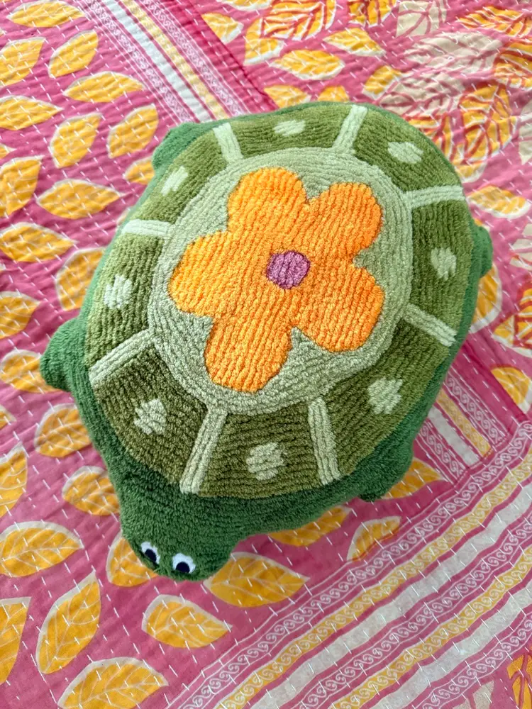 Urban Outfitters Turtle Pillow