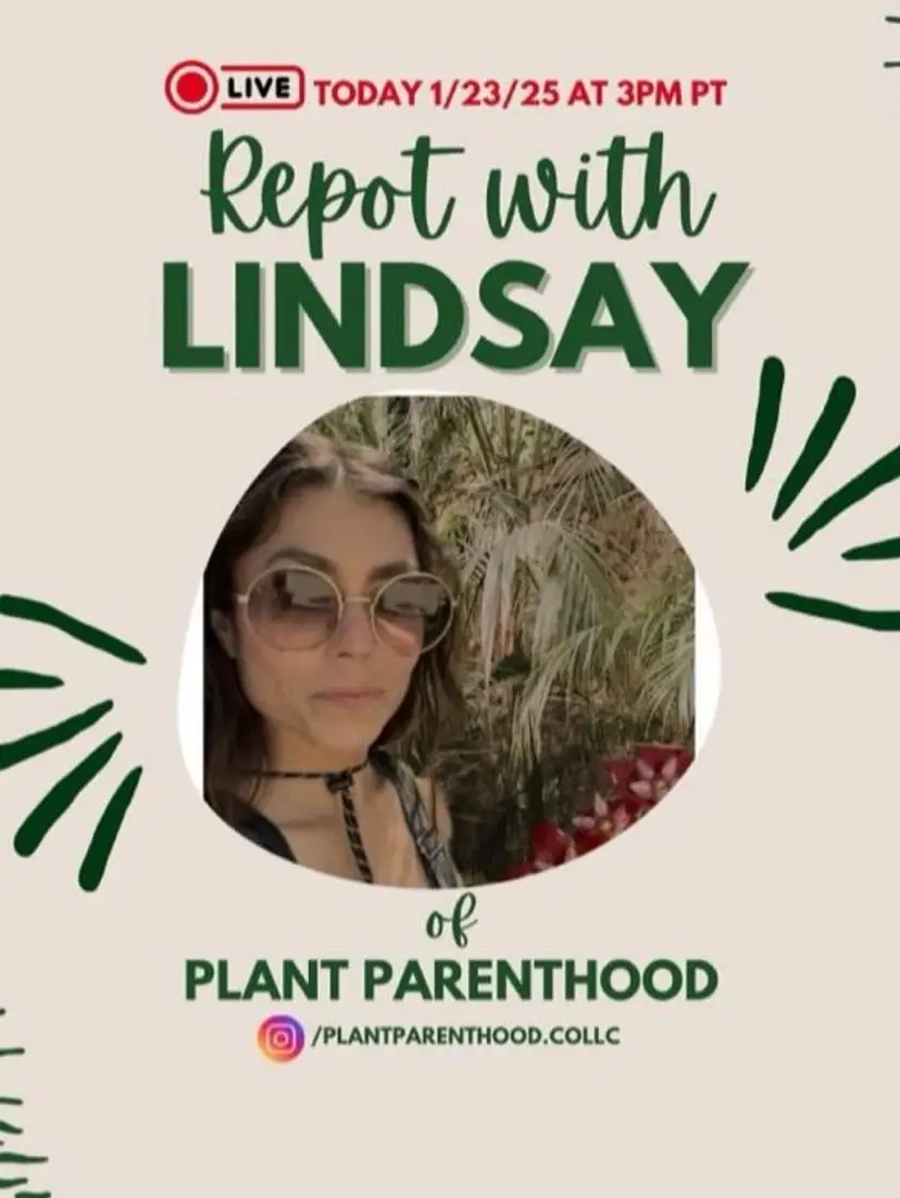 Livestream thumbnail