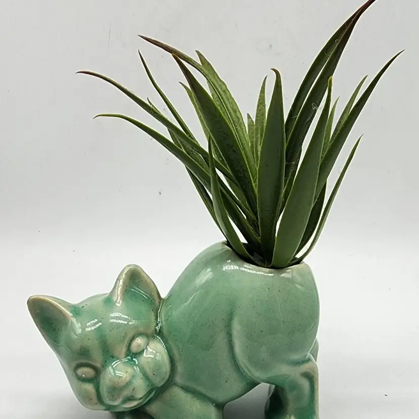 Vintage MCM Teal Blue Green Ceramic Scaredy Cat Cotton Ball Dispenser (Planter)
