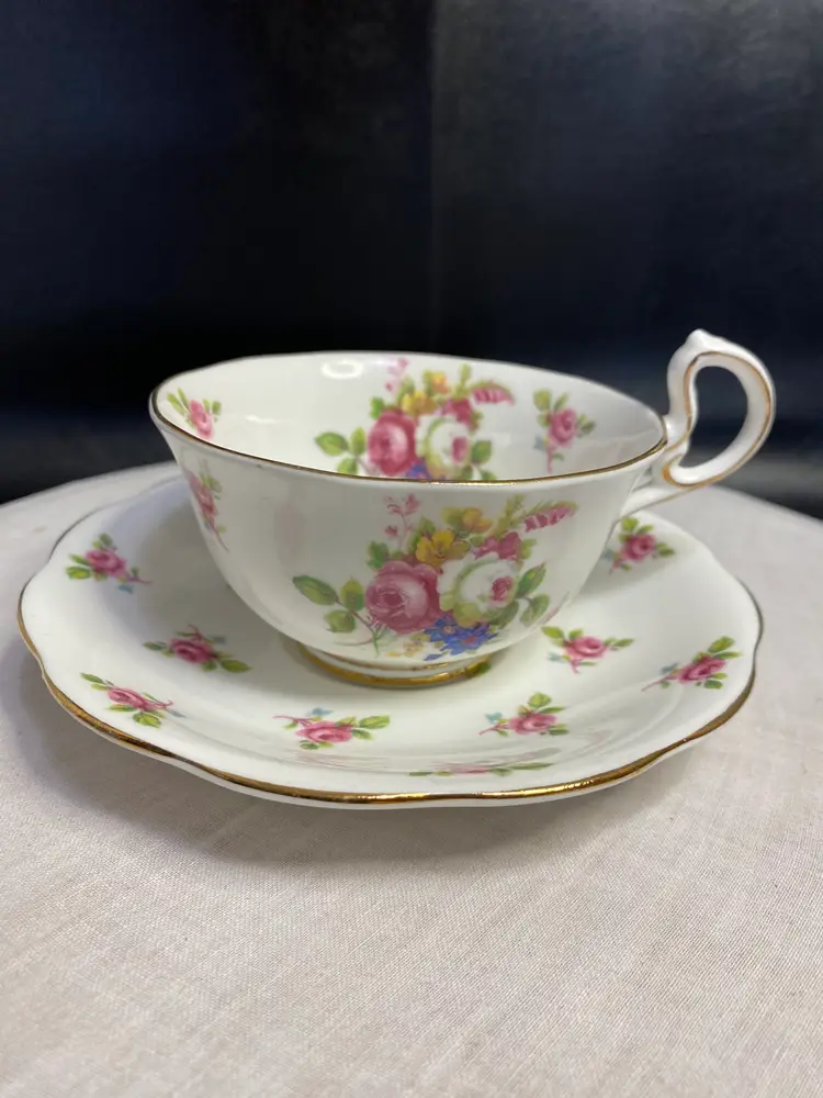 Vintage Royal Standared Devon China Tea Cup and Saucer
