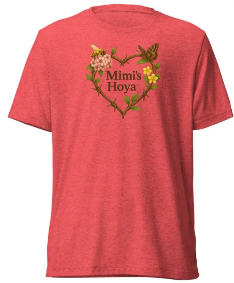 Mimi’s Hoya