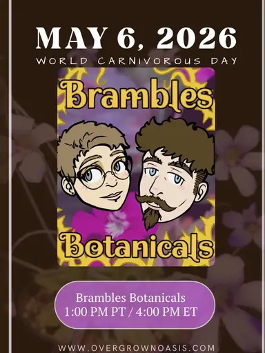 World Carnivorous Plant Day