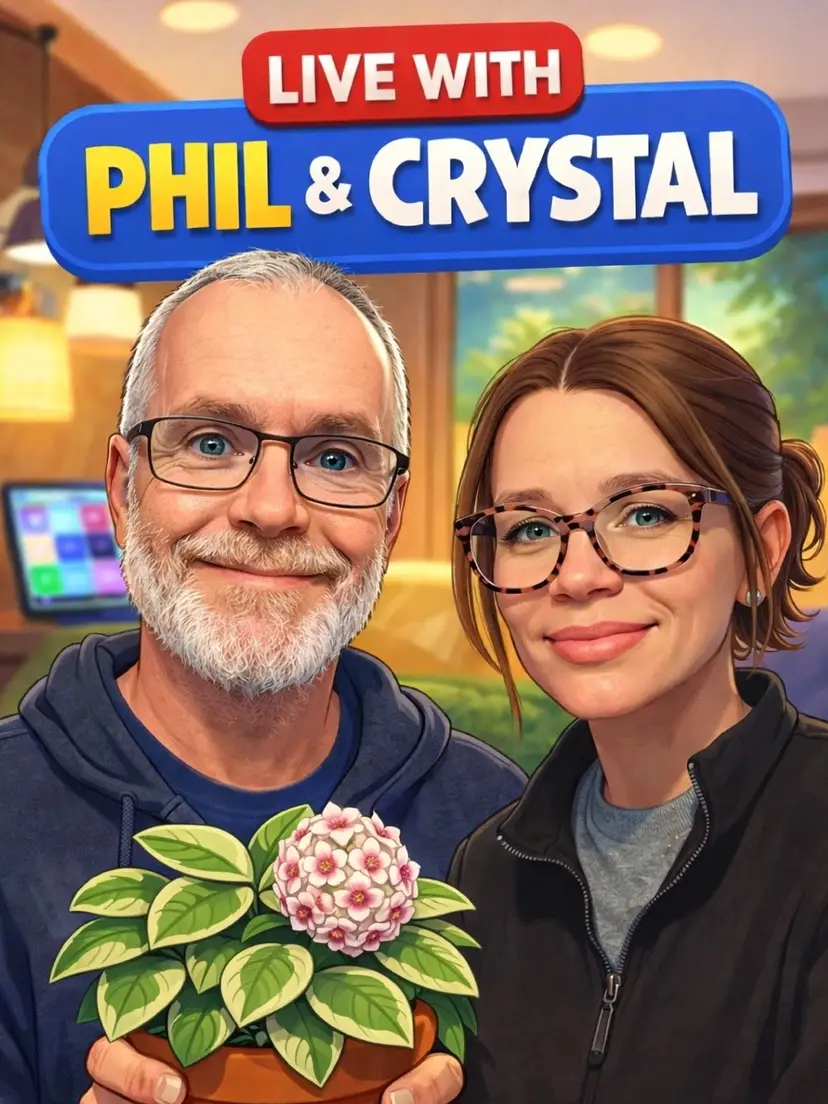 Livestream thumbnail