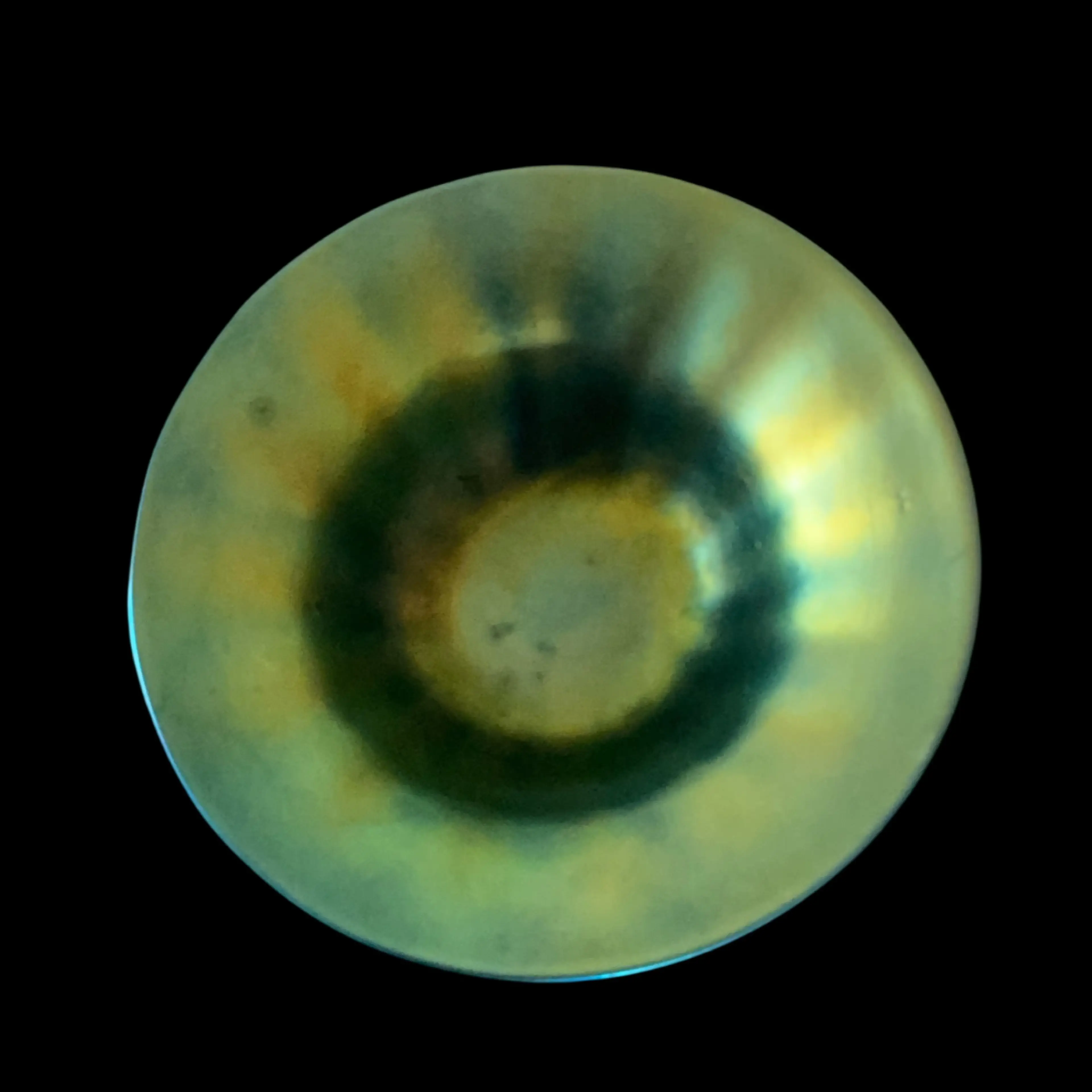 Image 2 of 4