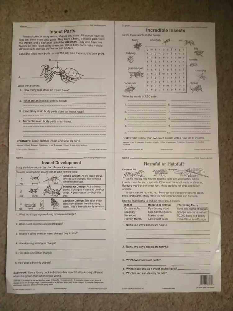 What is a insect? educational poster