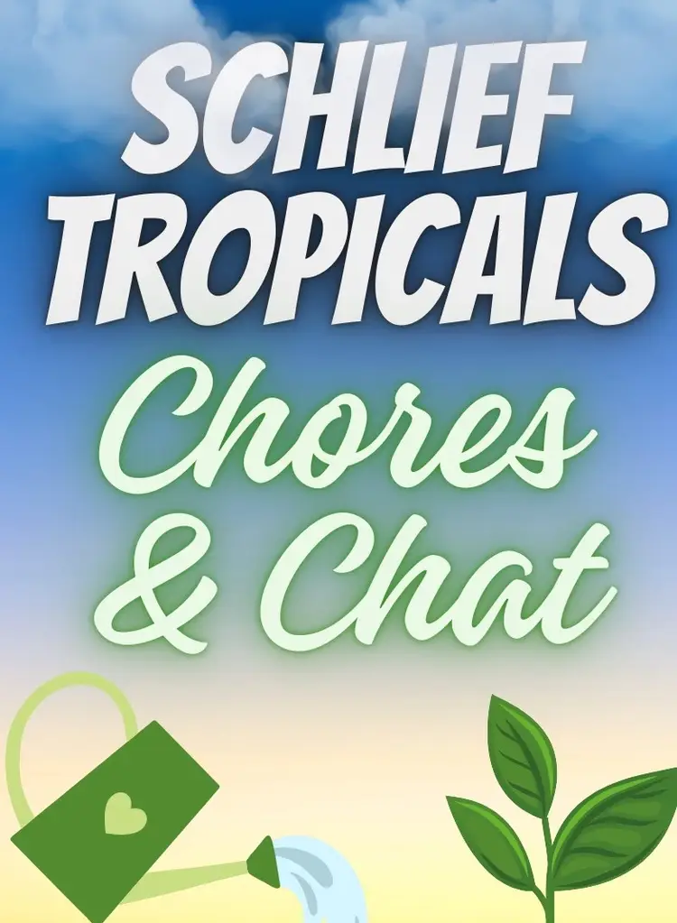 Chores And Chat