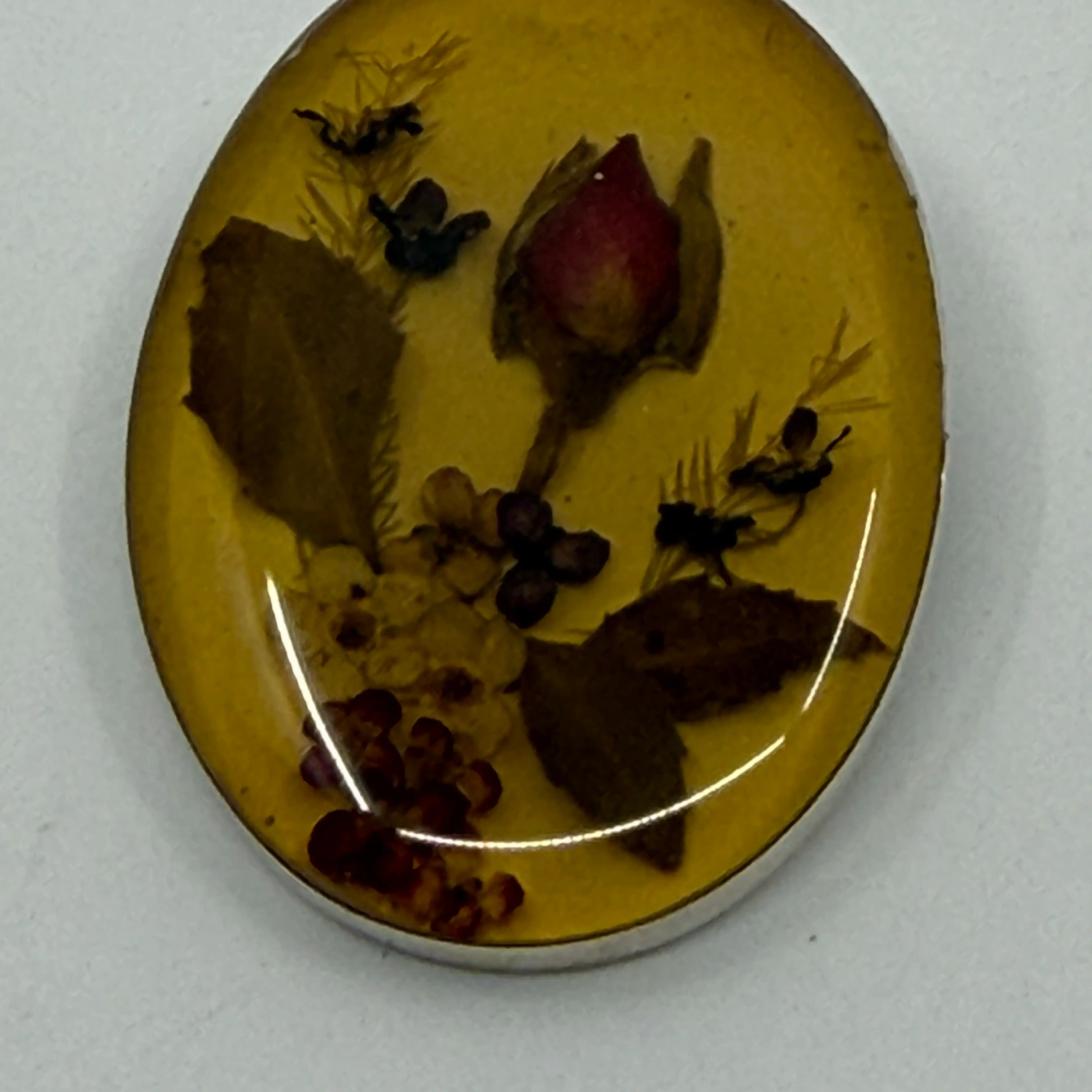 Image 2 of 5