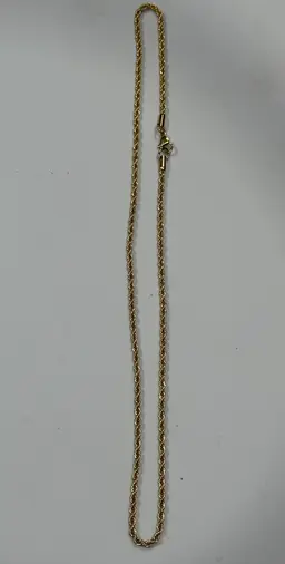Gold Tone, 22 Inch Rope Necklace