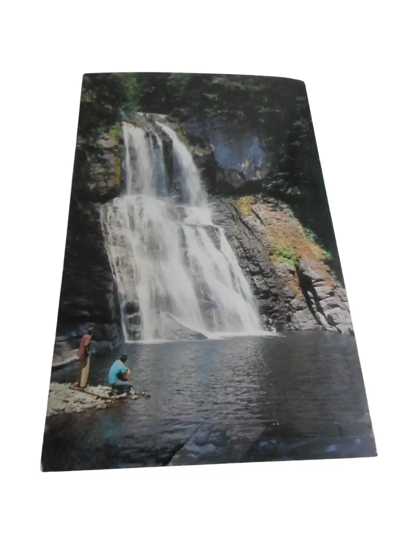 Vintage Postcard unposted Bushkill Falls, PA 1960s