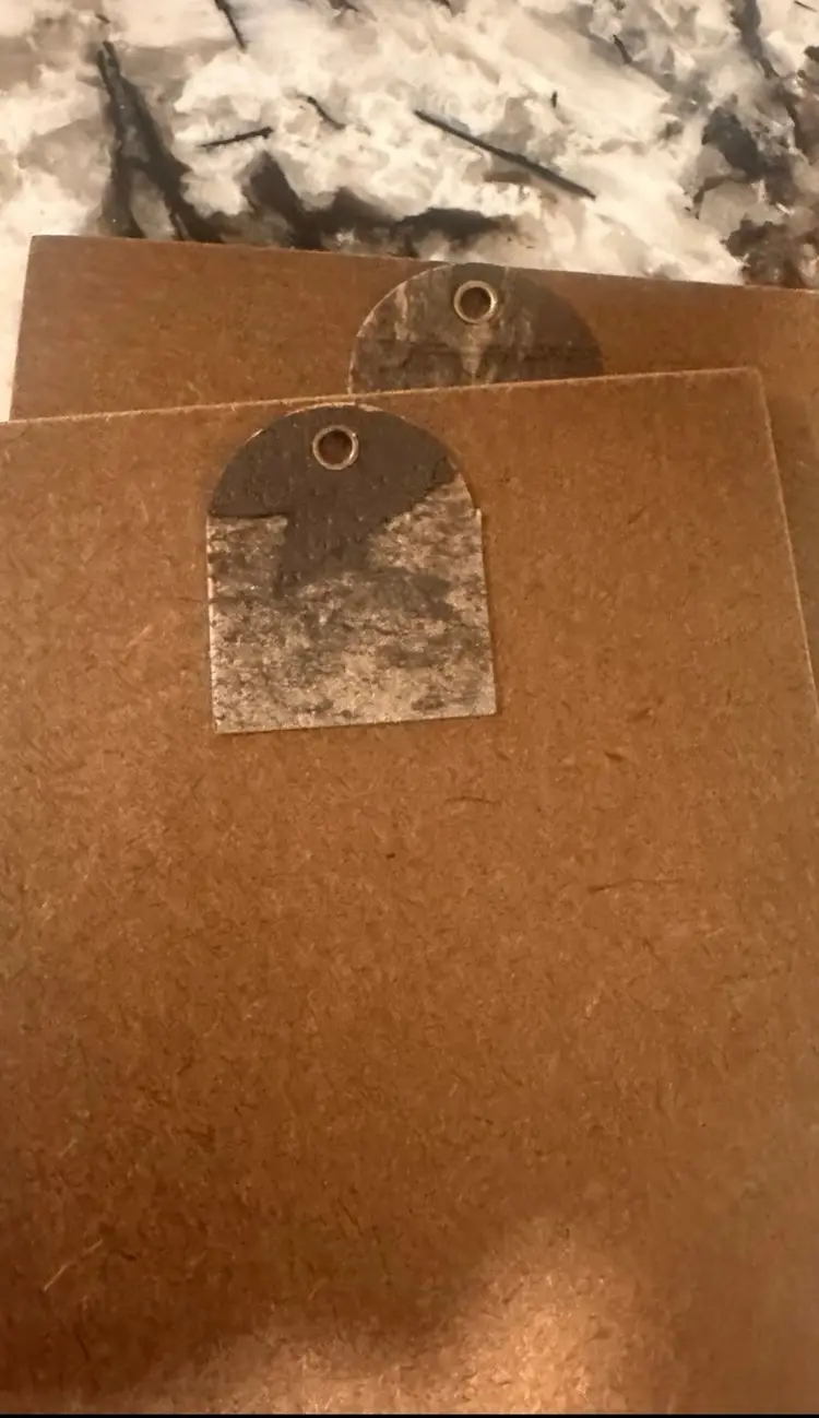 Floral Wall Art Set Of 2, signed Roberto