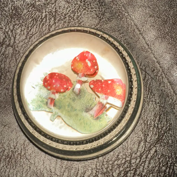 Vintage Mushroom glass paperweight 2 1/2”