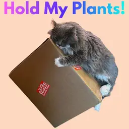 Hold until Week of 5/11