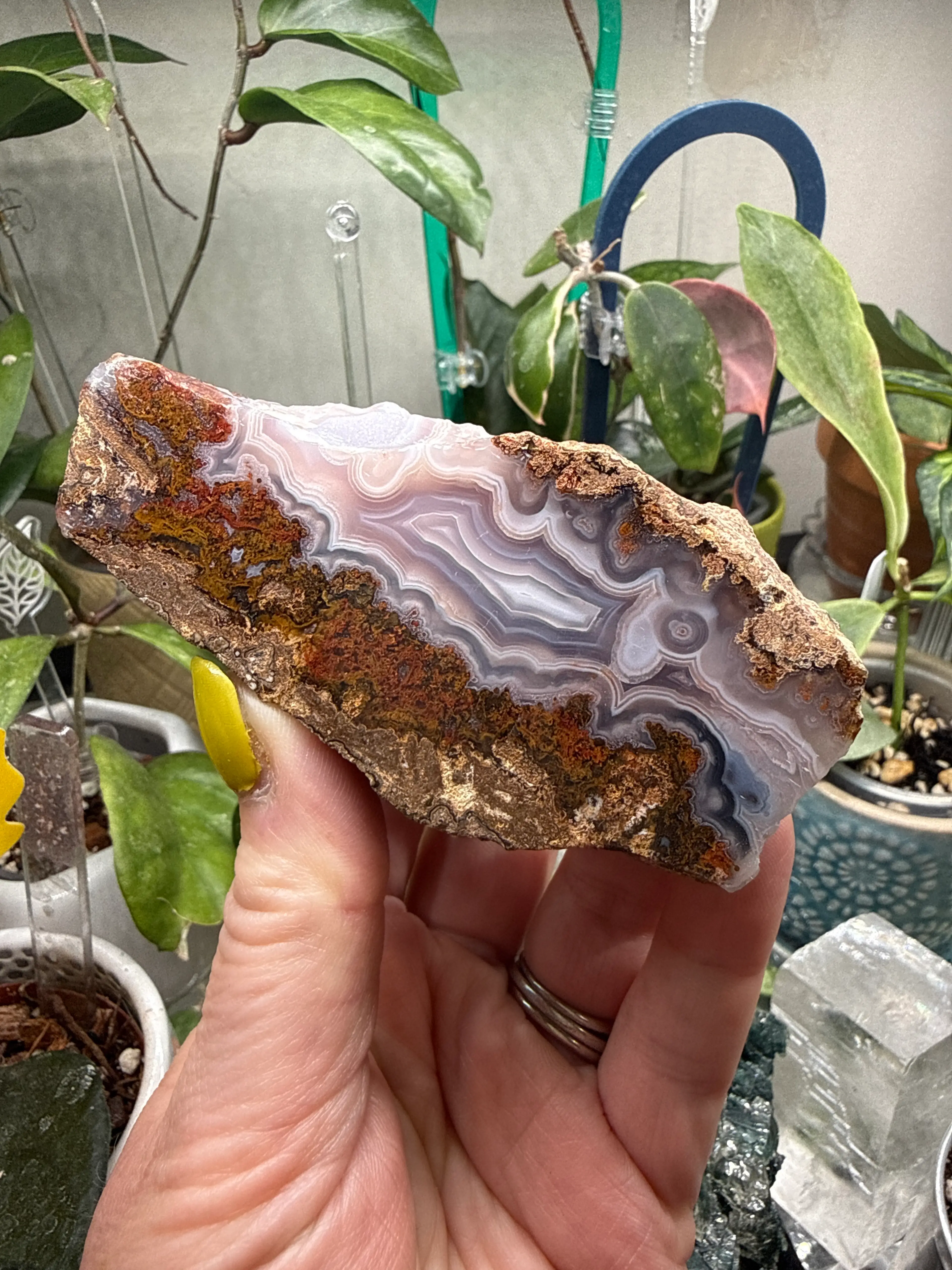 Buyer’s Givie Drawing! (and maybe another givie)