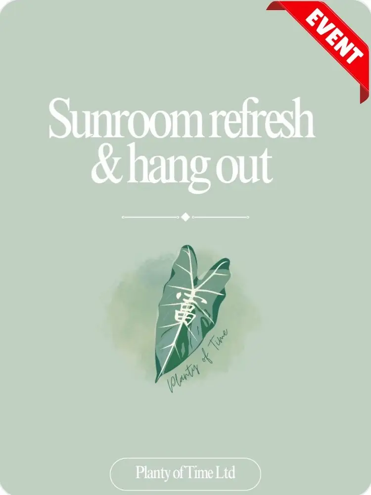 Sunday Sunroom Refresh