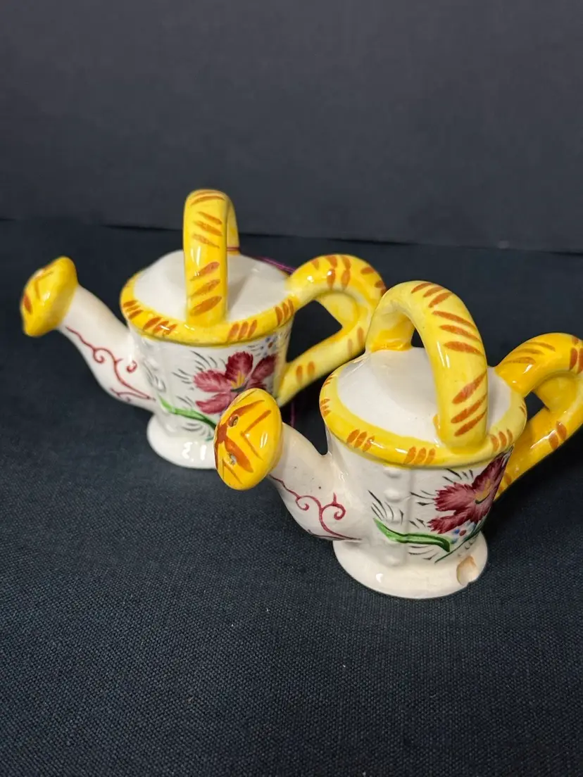Watering Can Salt and Pepper Shakers