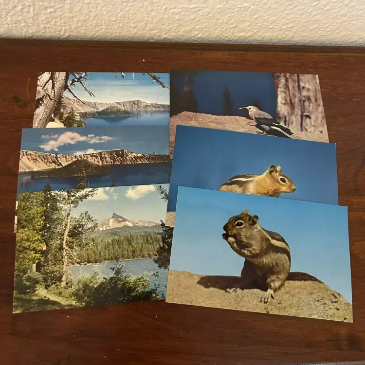 Lot Of 6 Vintage Post Cards Crater Lake Chipmunk Bird Ephemera Mt. Thielsen