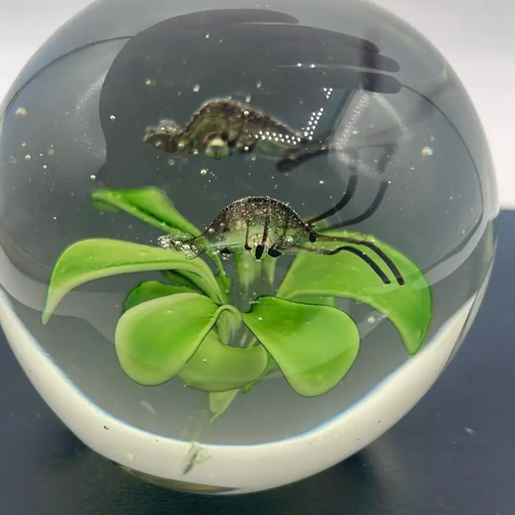 Paperweight With Shrimp 2.25”