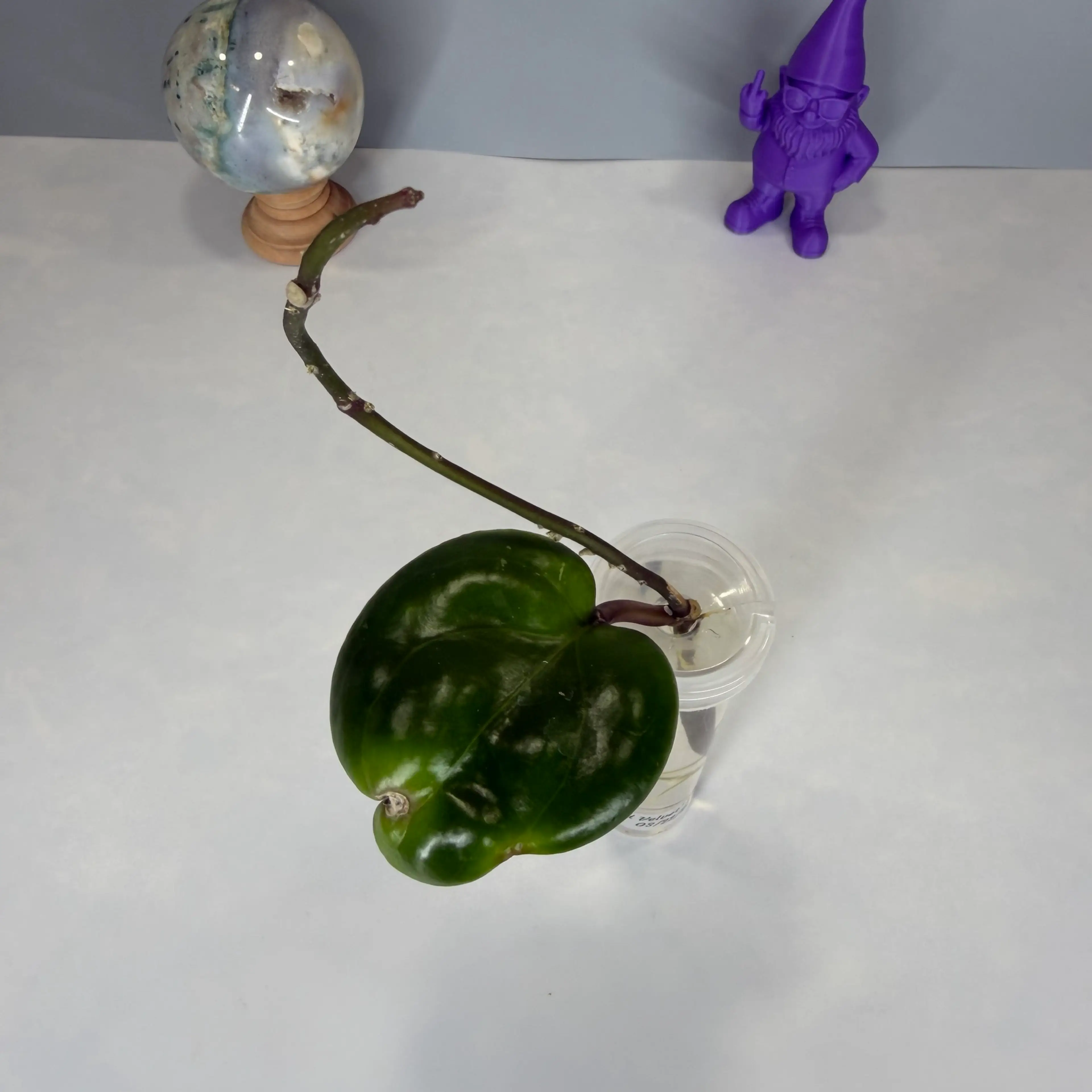 Image 2 of 2