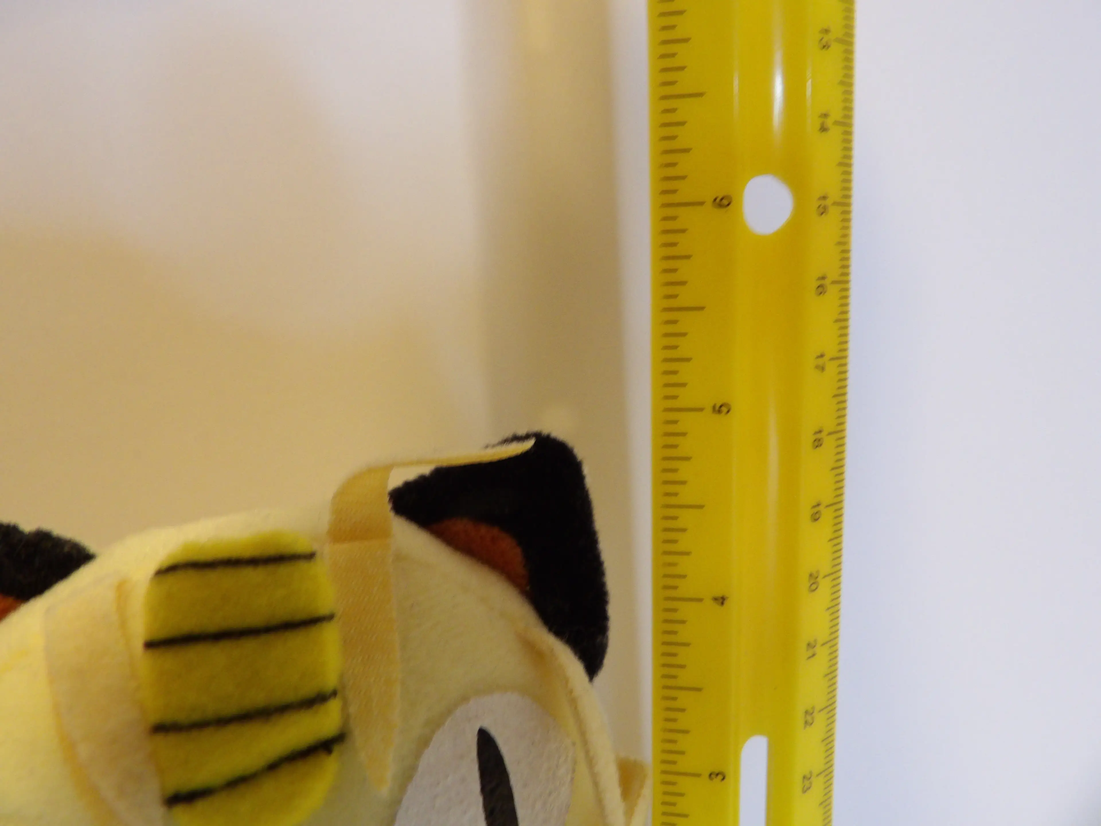 Image 5 of 6