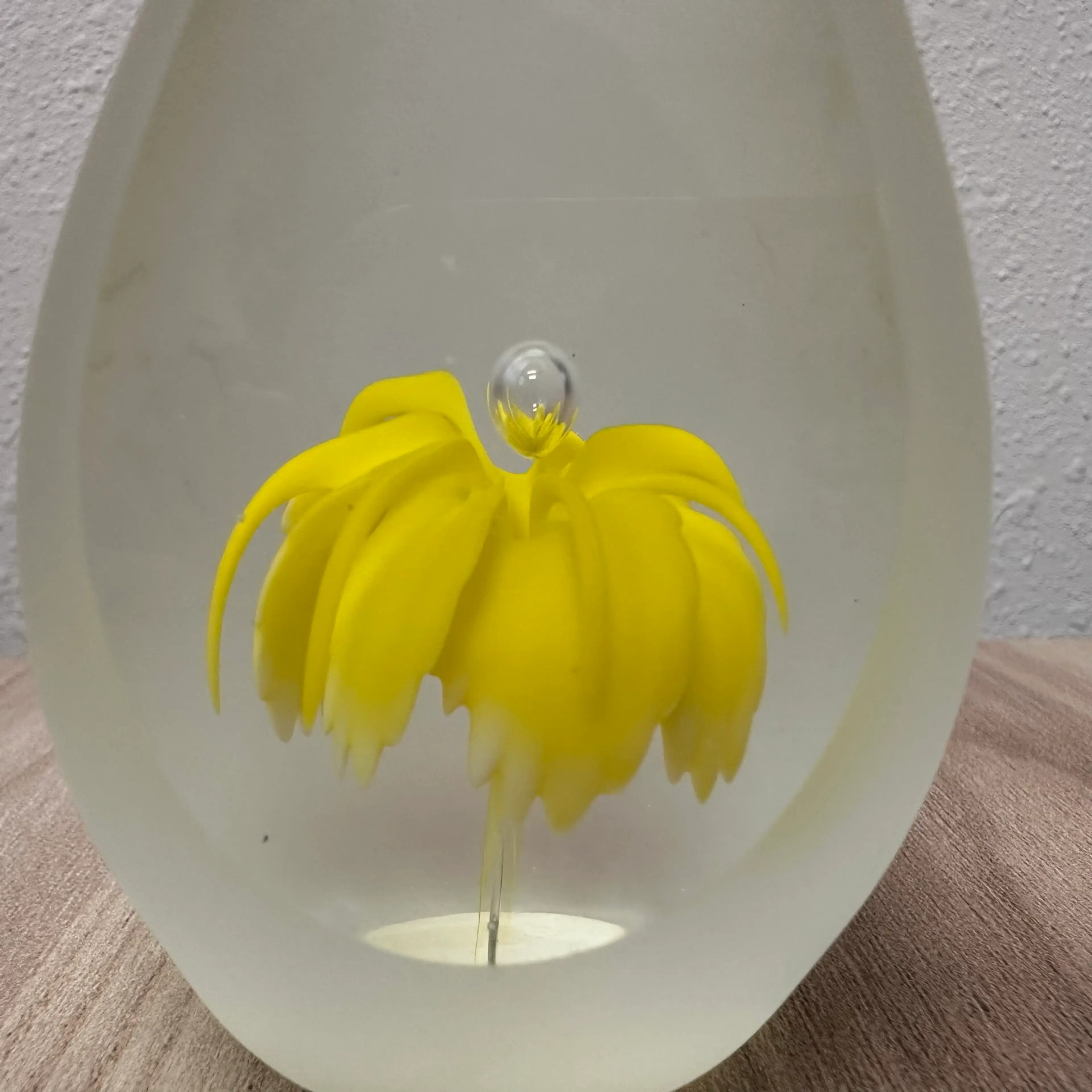 Image 3 of 14